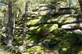 Navrhovaný národní geopark GeoLoci se rozkládá na území celého okresu Tachov a města Úterý. Na tomto území najdeme přes 100 geologicky zajímavých lokalit, které se dále člení na 12 oblastí. 