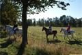 Hubertova jízda Šťáhlavy (37)