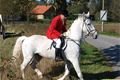 Hubertova jízda Šťáhlavy (41)