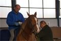 Jaroslav Rédl s Decy z Bernartic při dekorování soutěže č. 1