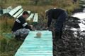 naucna stezka sumava