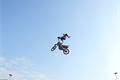 motoshow2