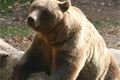 ZOO Plzeň (11)