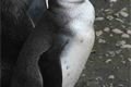 ZOO Plzeň (16)