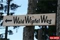 Wald Wipfel Weg (9)