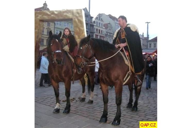 Svatý Martin v Plzni
