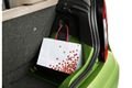 2011_Citigo_3
