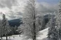 zima_spicak038