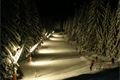 Šumava 2006 (8)