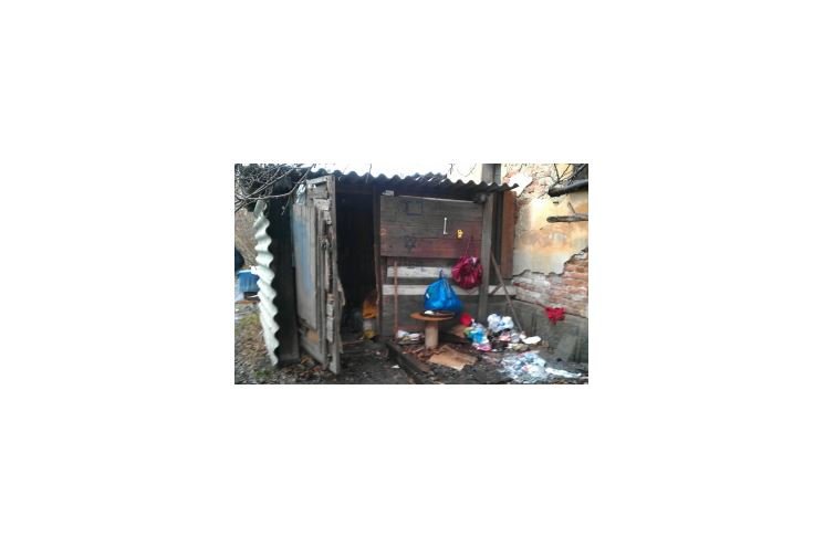 Foto-2