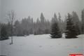 pred zeleznou rudou_ctvrte 15_12 (3)