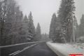 pred zeleznou rudou_ctvrte 15_12 (4)