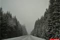 pred zeleznou rudou_ctvrte 15_12 (14)