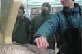 c4