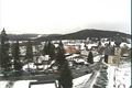 Srní 26.12. dopol
