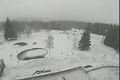 Bučina u Kvildy 29.12.
