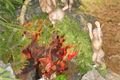 DSCN0758