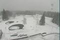 Bučina 4.1.