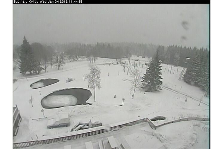 Bučina 4.1.