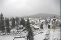 Srní 13.1.