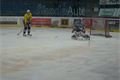  Hokejisté Plzně - rozbruslení 9.2.2010 