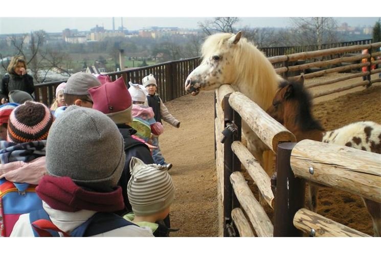 zoo hříbě zoo hříbě