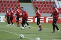 Fotbalisté Viktorie Plzeň