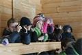 Kopie - IMG_7302