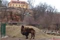 ZOO v únoru (26)