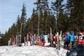 DSC02510