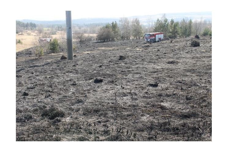 les Šibeniční vrch les Šibeniční vrch