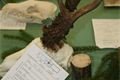 foto 029(1)