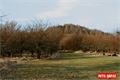 ovčí vrch (9)