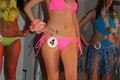 Miss Becher Klub 2012 (29)