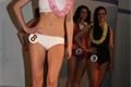 Miss Becher Klub 2012 (35)