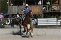 rodeo halter duben 2012 (3)