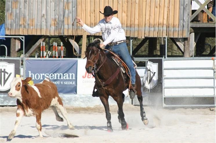 rodeo halter duben 2012 (8)