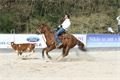 rodeo halter duben 2012 (12)