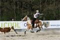 rodeo halter duben 2012 (18)