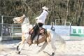 rodeo halter duben 2012 (26)
