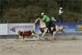 rodeo halter duben 2012 (29)