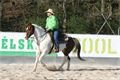 rodeo halter duben 2012 (32)