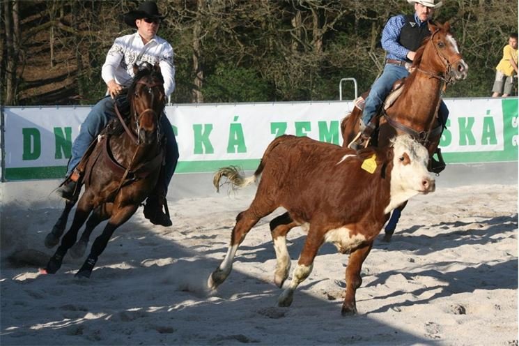 rodeo halter duben 2012 (38) rodeo halter duben 2012 (38)
