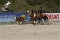 rodeo halter duben 2012 (41)