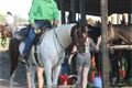 rodeo halter duben 2012 (47)