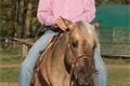 rodeo halter duben 2012 (53)