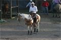 rodeo halter duben 2012 (60)
