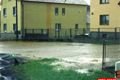 privalovy dest horni lukavice (7)