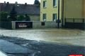 privalovy dest horni lukavice (9)