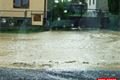 privalovy dest horni lukavice (10)